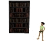 ~Y Tall Bookshelf