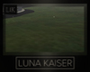 GRASS ADD ROOM
