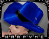 Hm*Cowboy Blue Hat