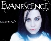 evanescence bring 2/2