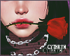 [C] Valentine Rose