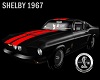 SHELBY 1967
