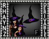 Witch Hat (F)