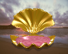 Golden Sea Shell