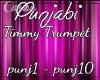 Timmy Trumpet-Punjabi