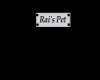 Rai's Pet