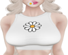 Daisy Top W🌼
