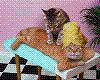 cat massage,animated