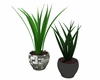 Gray tiled potted plant