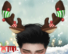 X-mas*Reindeer Horn*GR