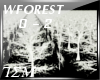 T|»Winter Forest ~ Epic