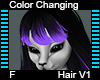 CC Hair F V1