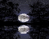 full moon reflections
