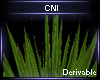 Derivable Plant V14