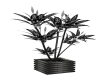 (MC)silver blk plant