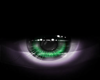 Shiny Dark Green Eyes