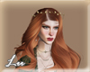 L. Jedidiah ginger