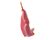 sea slug Pink