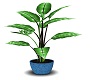 [BL] Plant >.>