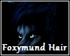Foxymund Blue Hair