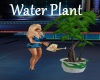 [BD]Water Plant
