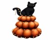 Pumpkin Black Cat