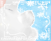K| Bear Tail Snow