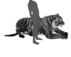 ☢ Ani Tiger Grey