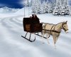 NT Country  Horse Sleigh