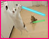 Jedi Cats