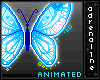 [AD] Blue butterfly