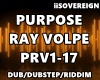 Purpose Ray Volpe