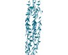 Plants Marine