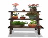 Plant Stand 4