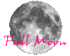 Full moon sticker