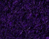Purple TyeDye