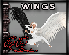 !QQ Big Wings B/White