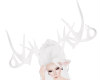 Albino Antlers
