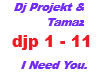 Dj Projekt&Tamaz/ I need