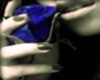 blue rose jewles