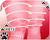 [Pets] Tila | leg pearls