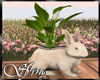 *S* Rabbit flower pot