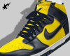 B. Michigan Dunk High