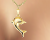 golden dolphin nckl