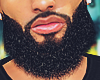 X 》Beard .CVS.