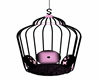 Pink&Black Cage Swing 
