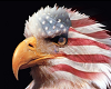 American Eagle Tear