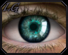 [LG] Frigid Eyes