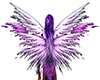 (4elem)Spirit anim wings
