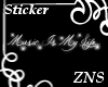 [ZNS]MusicIsMyLife STCKR